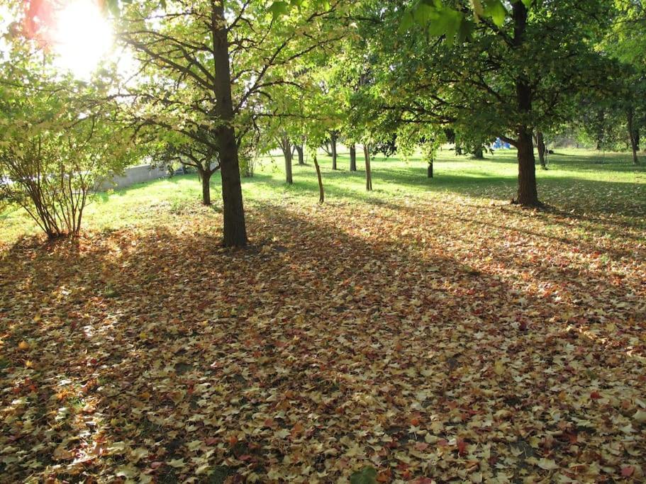 Вілла Le Jardin D'Erables St Remy 7 Ha Piscine/Clim Paluds de Noves Екстер'єр фото
